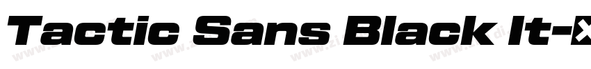 Tactic Sans Black It字体转换
